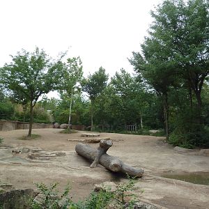River's Edge - Asian Elephant Exhibit (1 of 4 Enclosures)