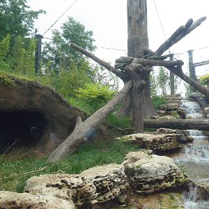 River's Edge - Sun Bear Forest (New in 2014)