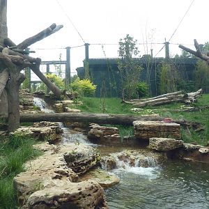 River's Edge - Sun Bear Forest (New in 2014)