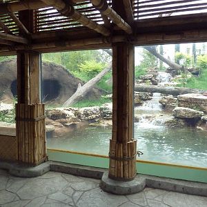 River's Edge - Sun Bear Forest (New in 2014)