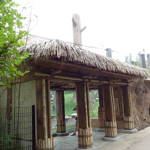 River's Edge - Sun Bear Forest (New in 2014)