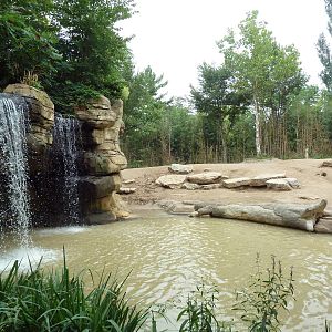 River's Edge - Asian Elephant Exhibit (1 of 4 Enclosures)