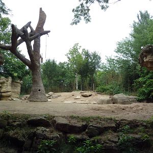 River's Edge - Asian Elephant Exhibit (1 of 4 Enclosures)