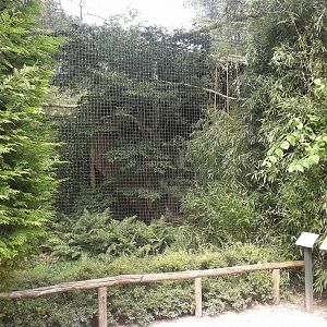 Vulture and Seriema aviary