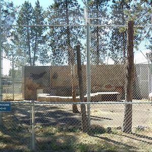 Bengal Tiger Exhibit