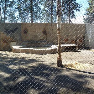 Bengal Tiger Exhibit