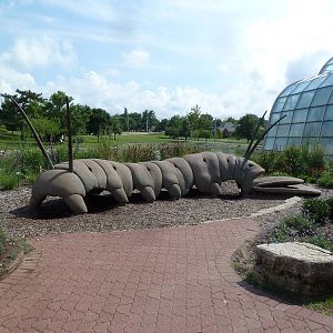 Caterpillar Statue