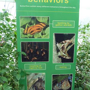 Walk-Through Jungle - Sign