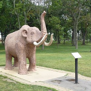 Mastodon Statue