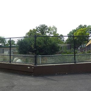 North American River Otter Exhibit