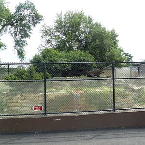 North American River Otter Exhibit