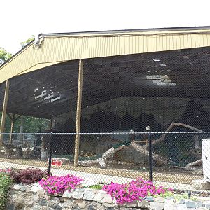 Bald Eagle/Turkey Vulture Exhibit