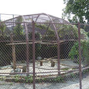 Great Horned Owl Exhibit