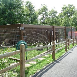 Red-Tailed Hawk Exhibit
