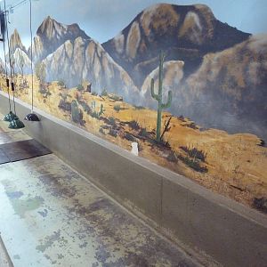 Reptile House - African Spurred Tortoise Indoor Exhibit