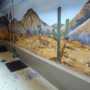 Reptile House - California Desert Tortoise Indoor Exhibit