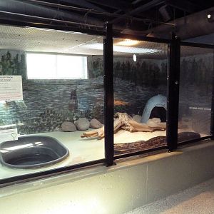 Reptile House - Burmese Python Exhibit