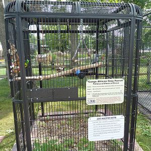 African Grey Parrot Cage
