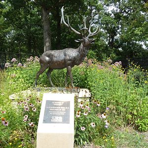 Elk Statue