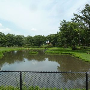Rocky Mountain Elk Exhibit