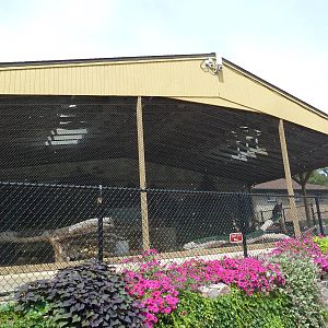 Bald Eagle/Turkey Vulture Exhibit