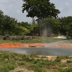 african elephant exhibit