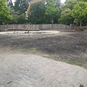 Indian rhino and muntjac enclosure