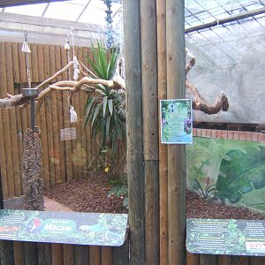 View of Blue and Yellow Macaw Aviary