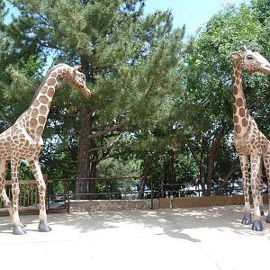 African Rift Valley - Giraffe Statues