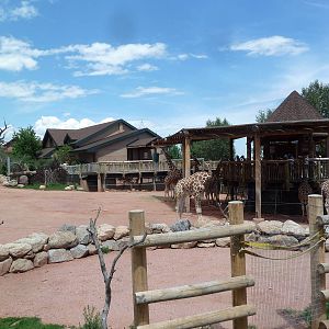 African Rift Valley - Exhibit with 20 Giraffes