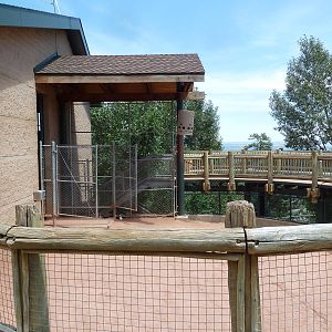African Rift Valley - Exhibit with 20 Giraffes (side yard)