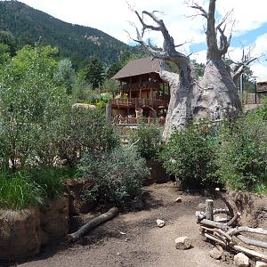 African Rift Valley - Red River Hog Exhibit