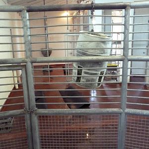 African Rift Valley - Giraffe Barn (Okapi Stall)