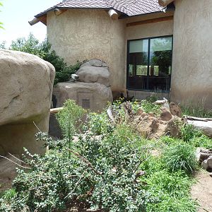 African Rift Valley - Meerkat Exhibit