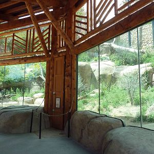 Encounter Africa - Lion Exhibit (New in 2013)