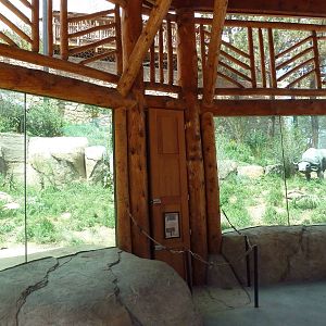 Encounter Africa - Lion Exhibit (New in 2013)