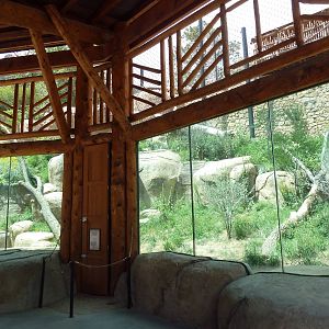 Encounter Africa - Lion Exhibit (New in 2013)