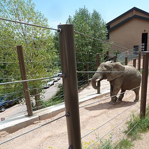 Encounter Africa - Elephant Exhibit Trail (New in 2013)