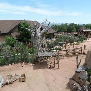 African Rift Valley - Grant's Zebra + Reticulated Giraffe Exhibits