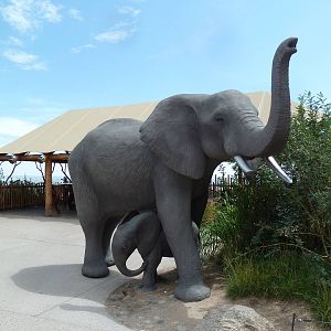 Encounter Africa - Elephant Exhibit Statues (New in 2013)