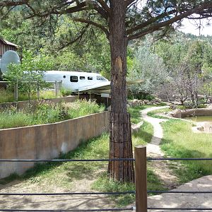 Encounter Africa - Black Rhino Exhibit (New in 2013)