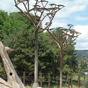 Encounter Africa - Elephant Exhibit Trees (New in 2013)