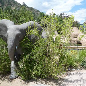 Encounter Africa - Elephant Exhibit Statue (New in 2013)