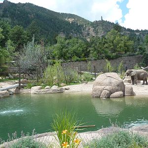 Encounter Africa - Elephant Exhibit (New in 2013)
