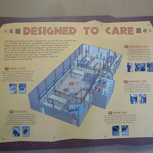 Encounter Africa - Elephant Exhibit Barn (New in 2013)