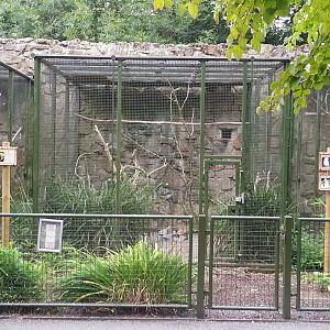 Old parrot aviaries