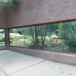 Southern Ground Hornbill Exhibit (former lion enclosure)