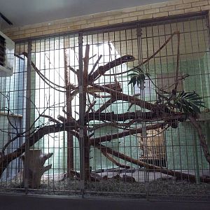1942 Monkey Pavilion - Ring-Tailed Lemur Exhibit #1