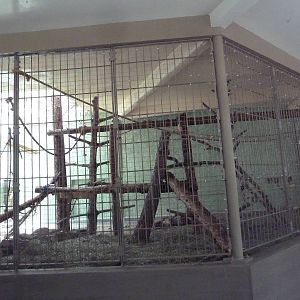 1942 Monkey Pavilion - Ring-Tailed Lemur Exhibit #2