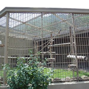 1942 Monkey Pavilion - Rotational Outdoor Cage